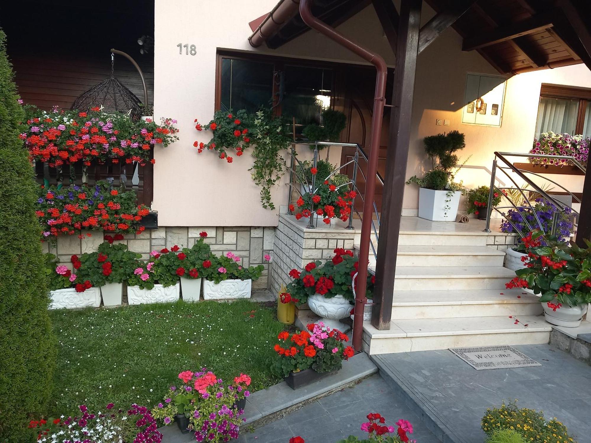 Apartment Vihor Zlatibor Exterior photo